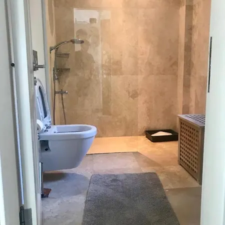 Vila Guemuesluek Elit Sitede Muestakil Villa *